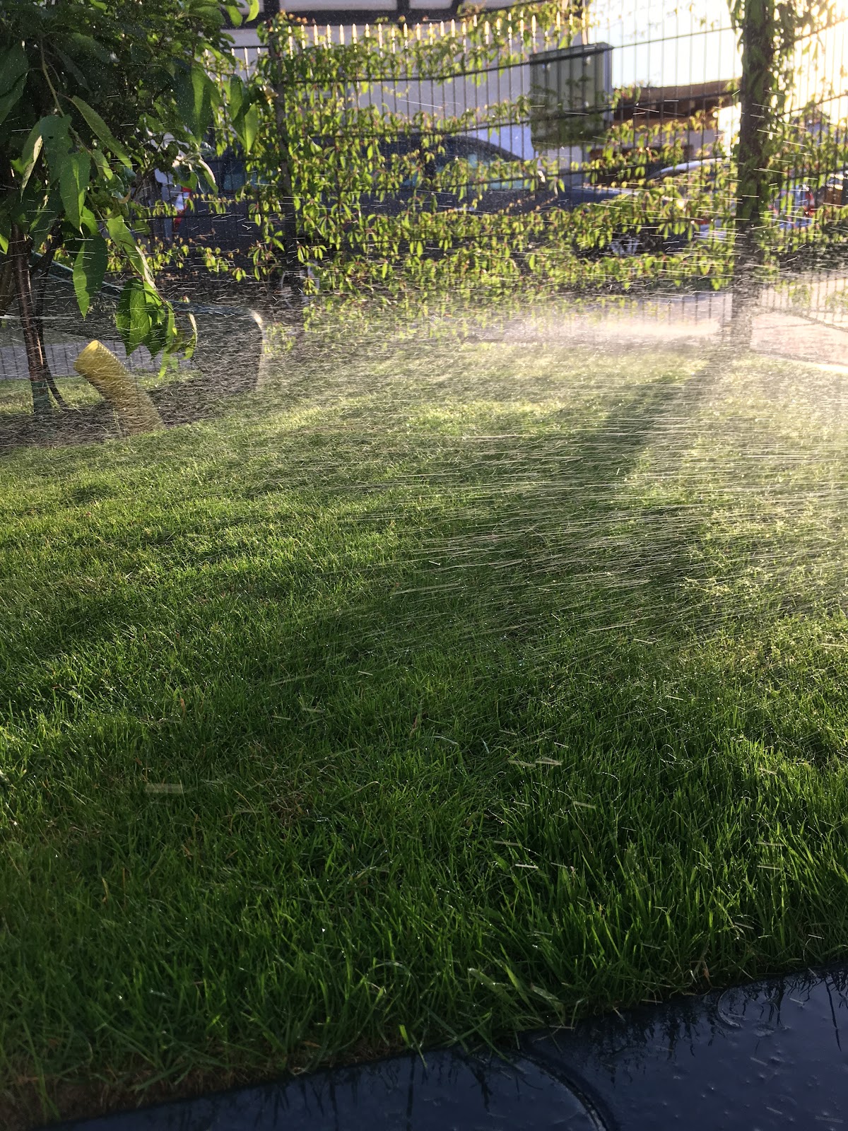 easygreen - automatische Bewässerungssysteme für Hausgärten in Großbeeren – Betriebsfoto 1