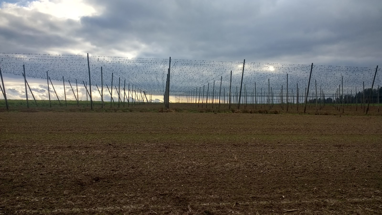 Willibald Strauß Heizungs- und Lüftungsbau